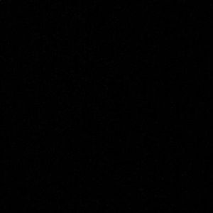 Meet your Posher, Rose